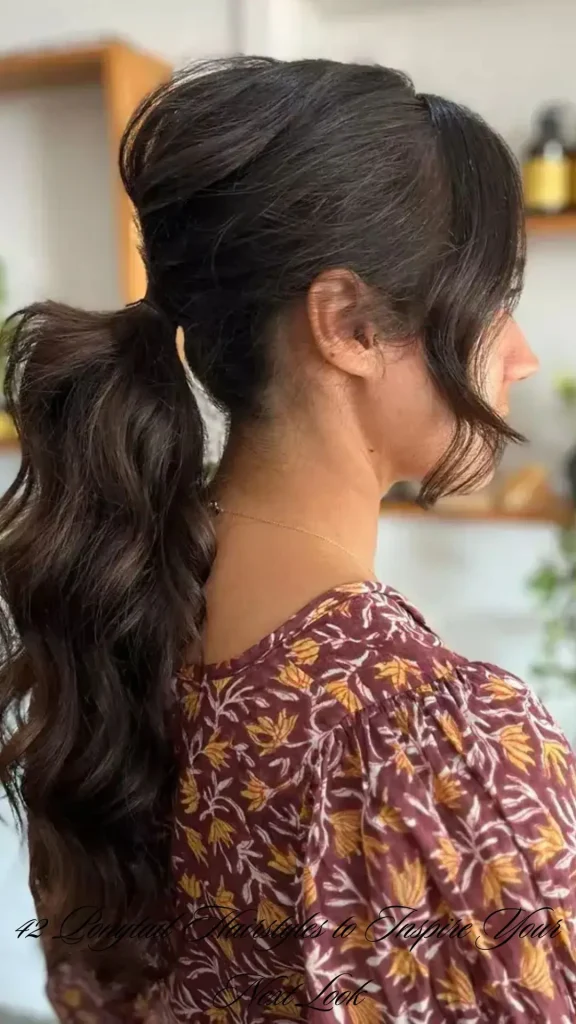 Braided Ponytail