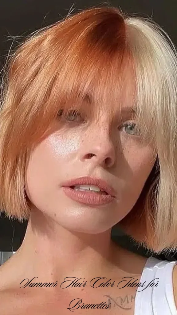 Bronze Highlights
