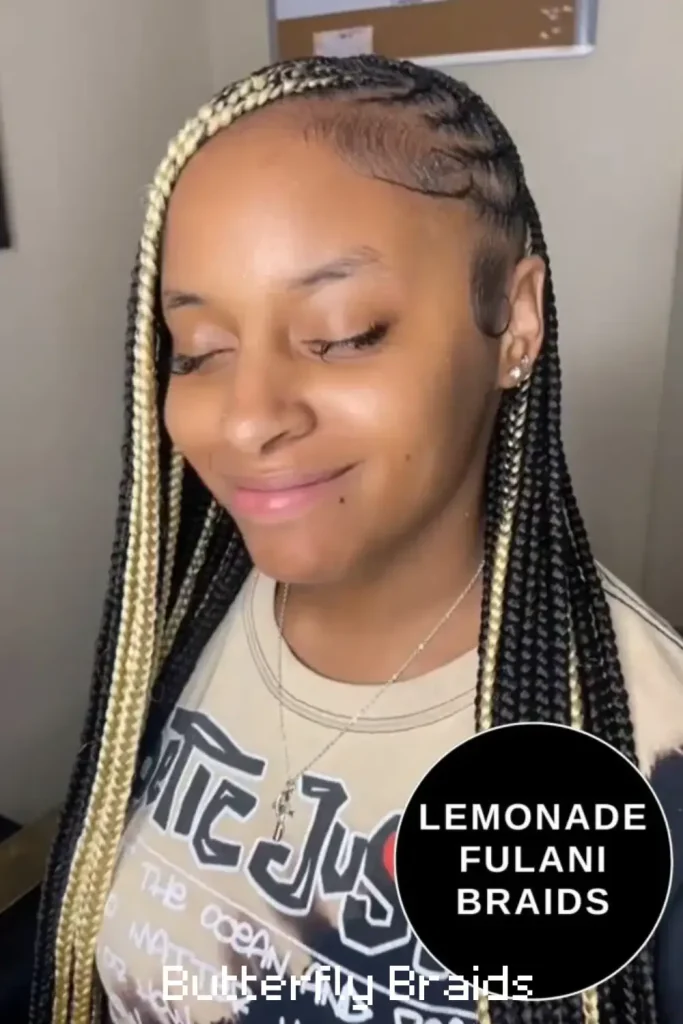 Butterfly Braids