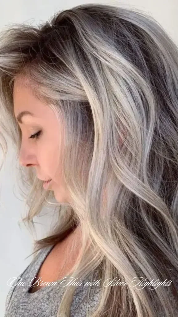 Chic Brown Hair with Silver Highlights