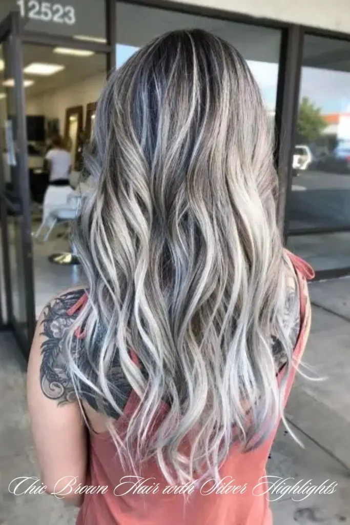 Cool Silver Highlights on Dark Mocha