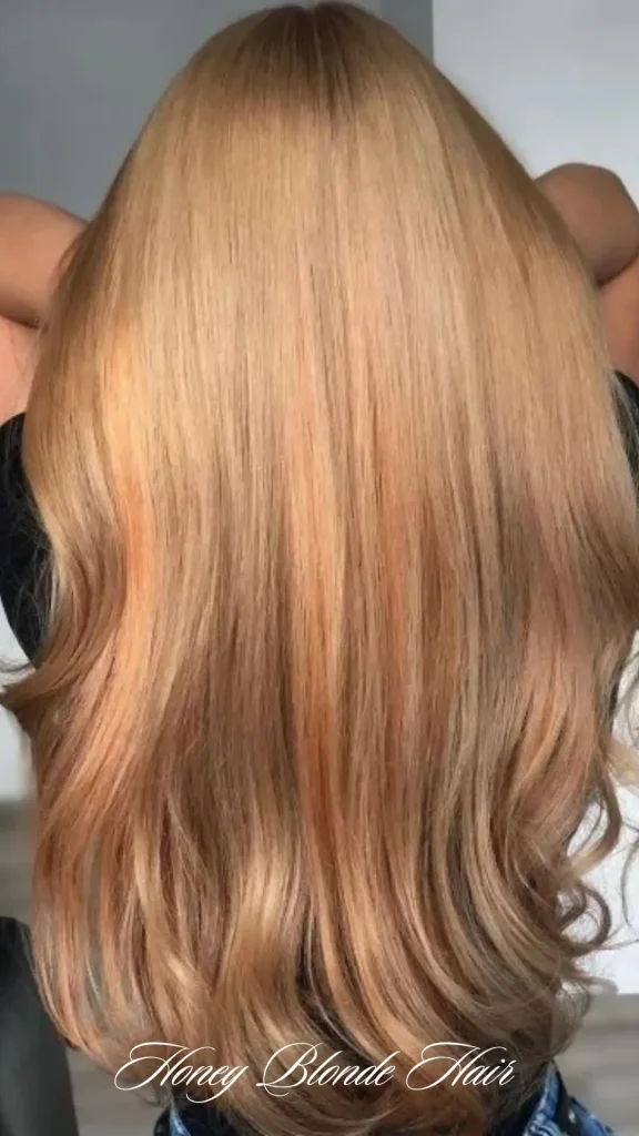 Honey Blonde Highlights on Brown Hair