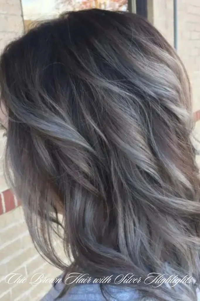 Soft Ash Silver Balayage