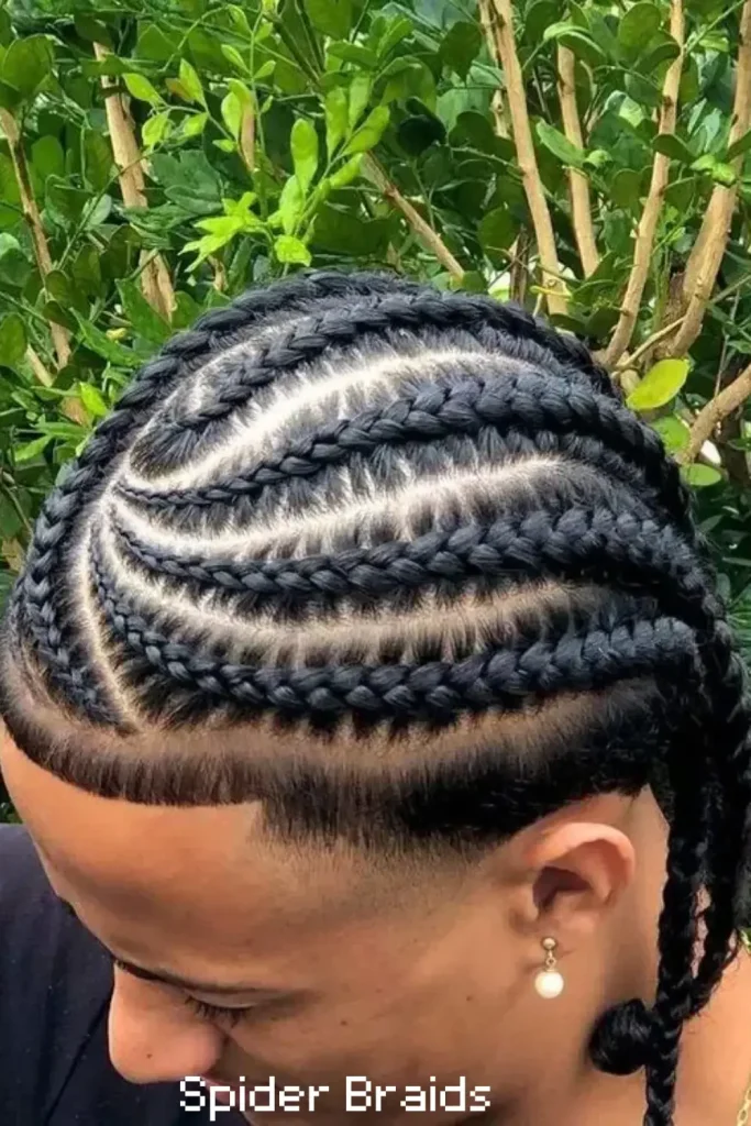 Spider Braids