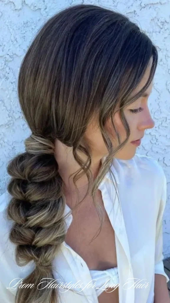 Boho Braided Bun