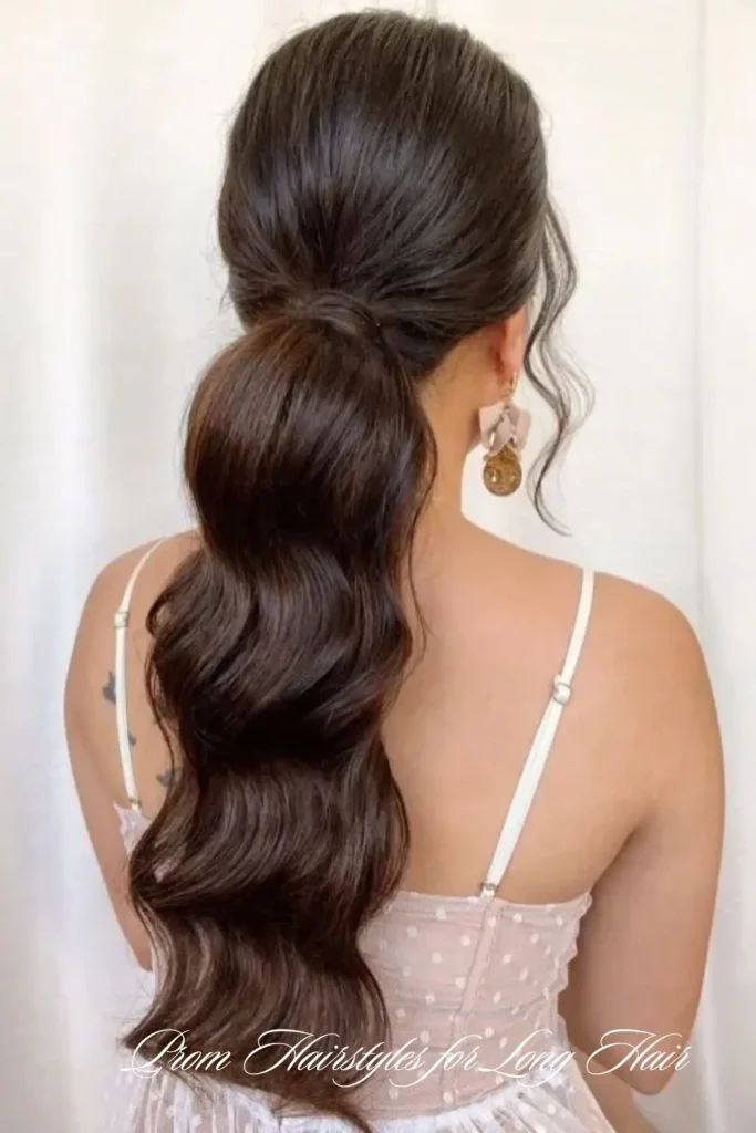 Braided Ponytail