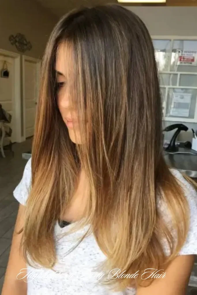 Champagne Highlights