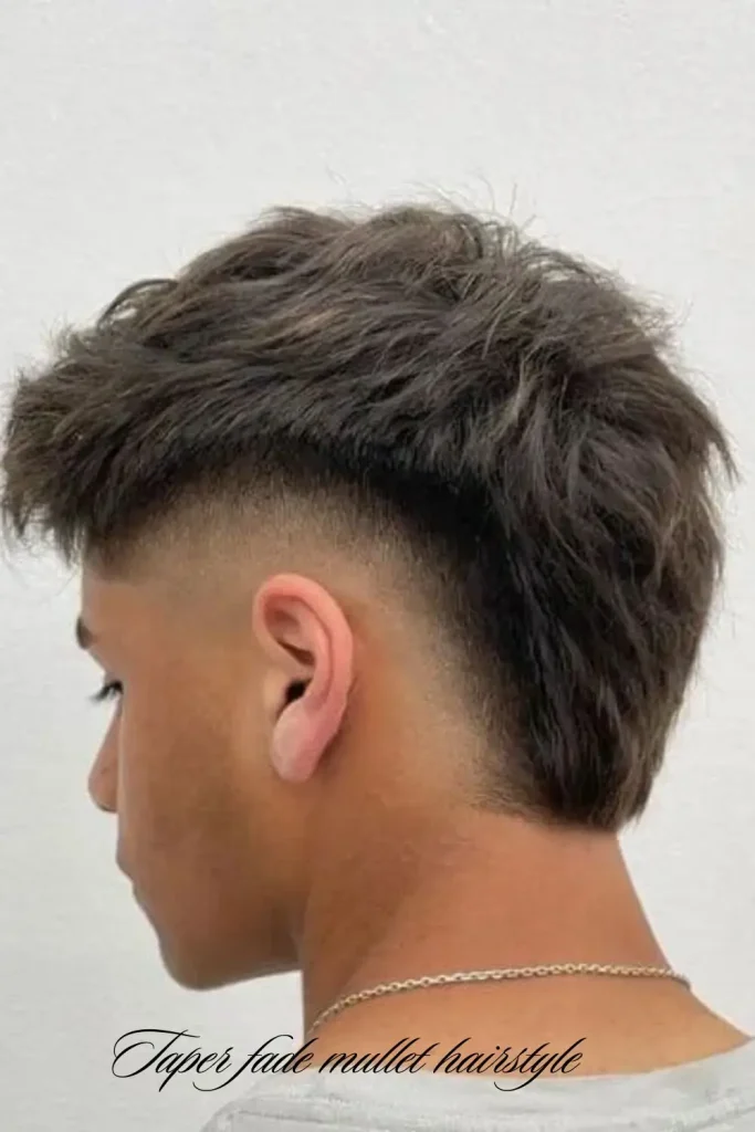 Shaggy Mullet with Taper Fade