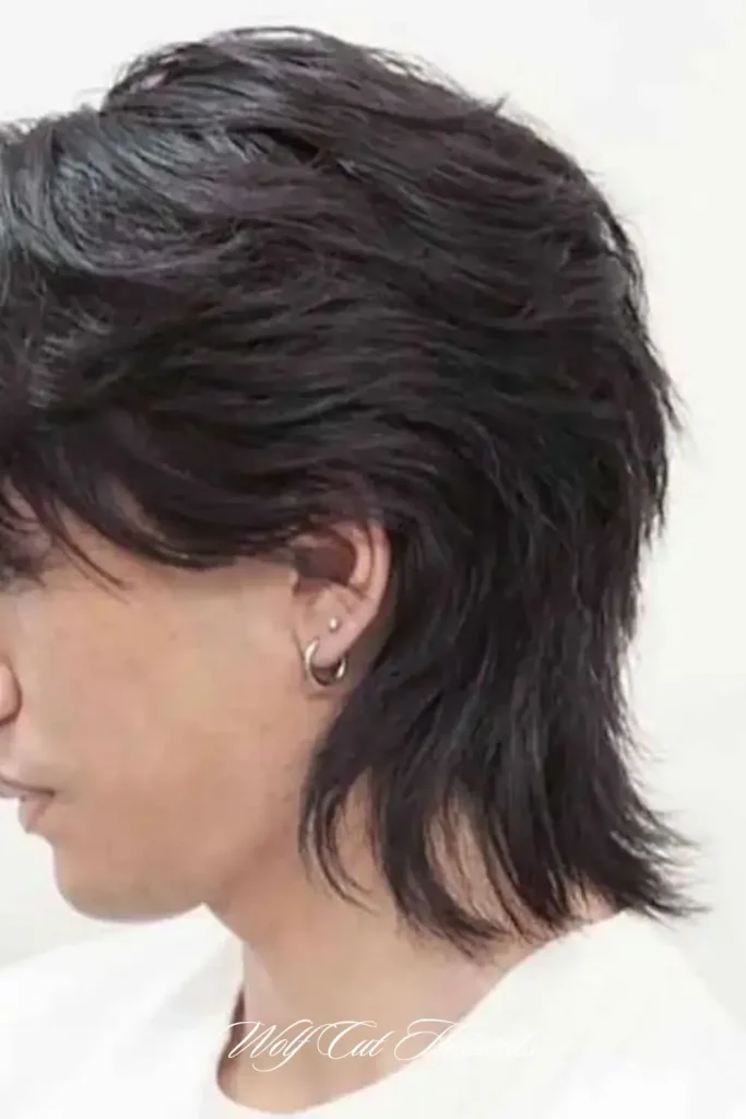 Shaggy Wolf Cut