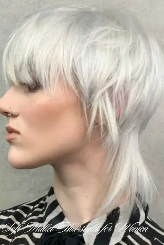 Soft Mullet Hairstyles for Women