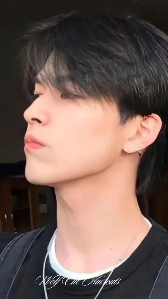 Thick Hair Wolf Cut