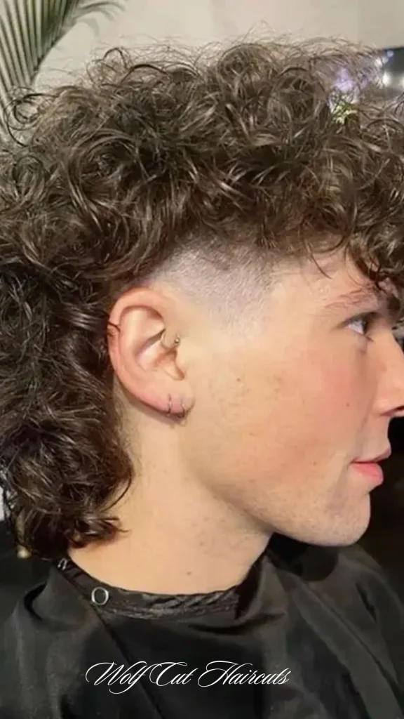 Wolf Cut Haircuts