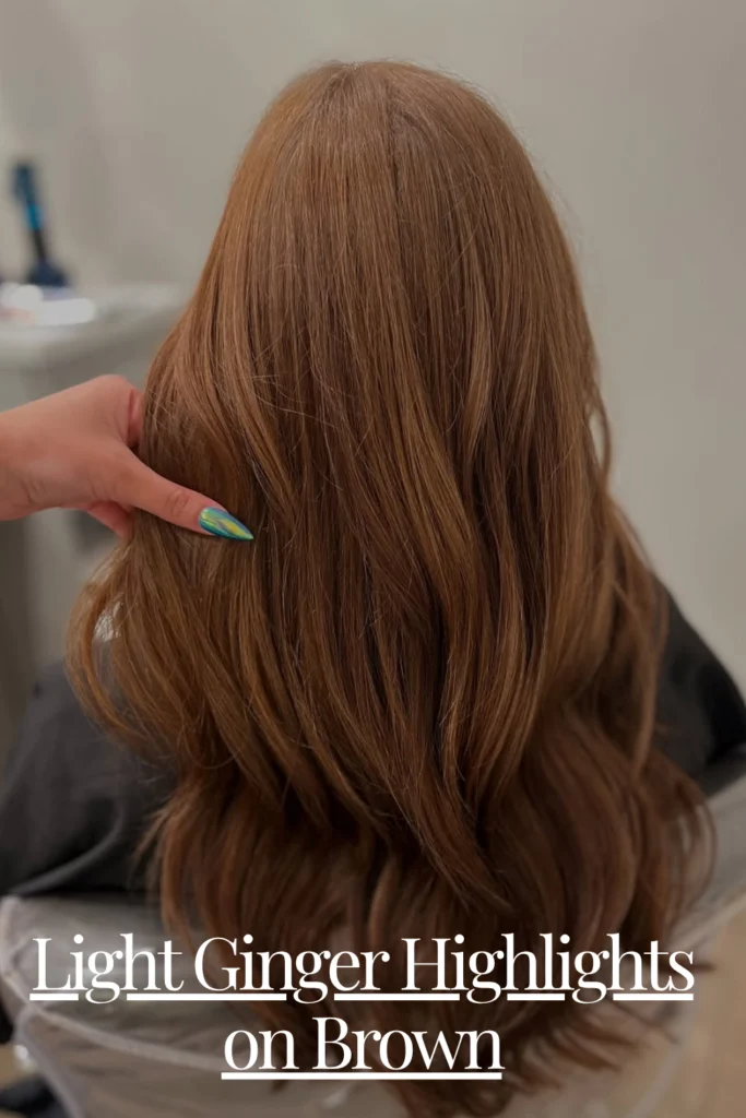 Light Ginger Highlights on Brown