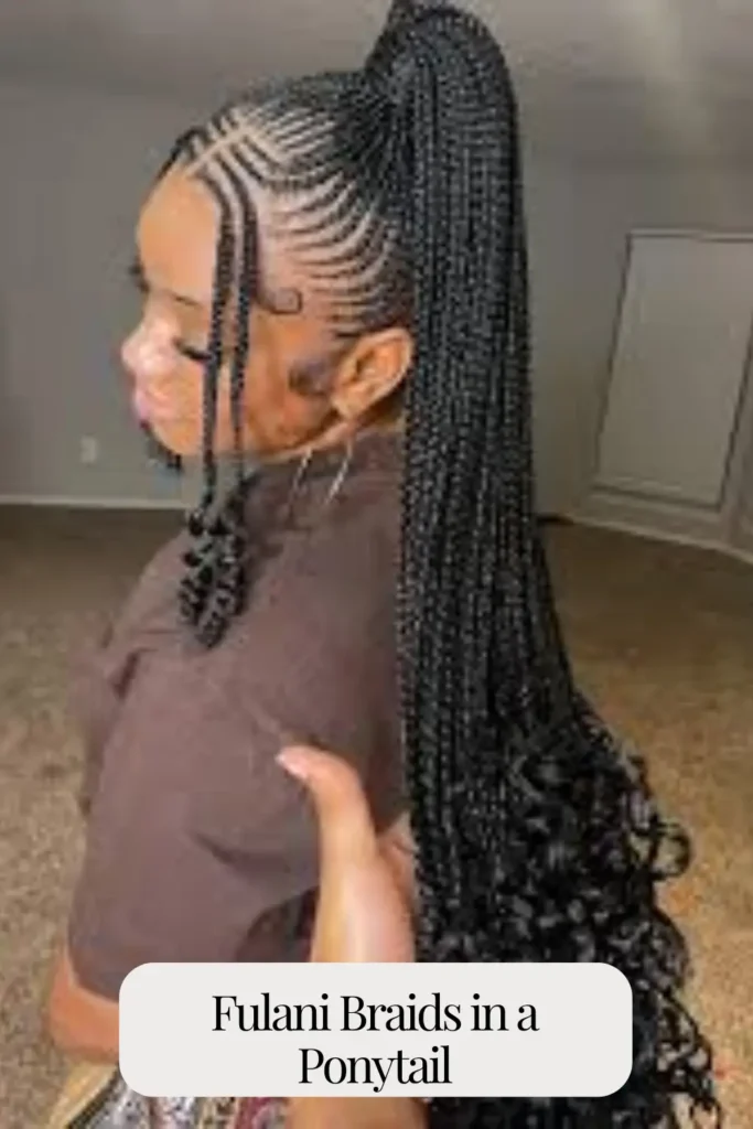 Fulani Braids in a Ponytail