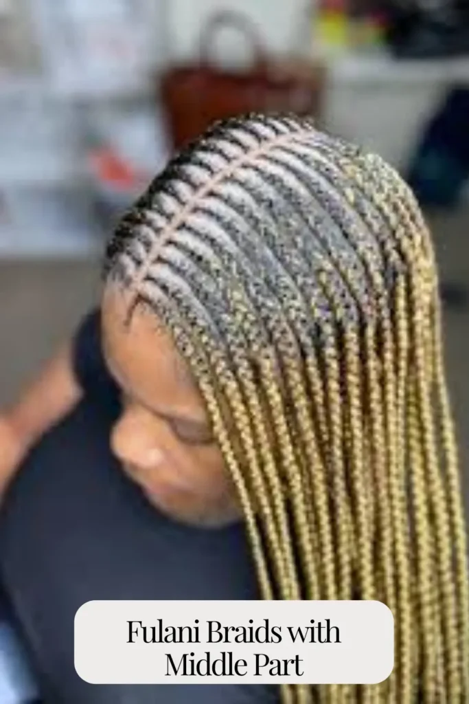 Fulani Braids with Middle Part