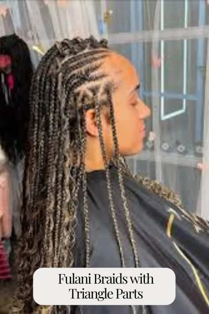 Fulani Braids with Triangle Parts
