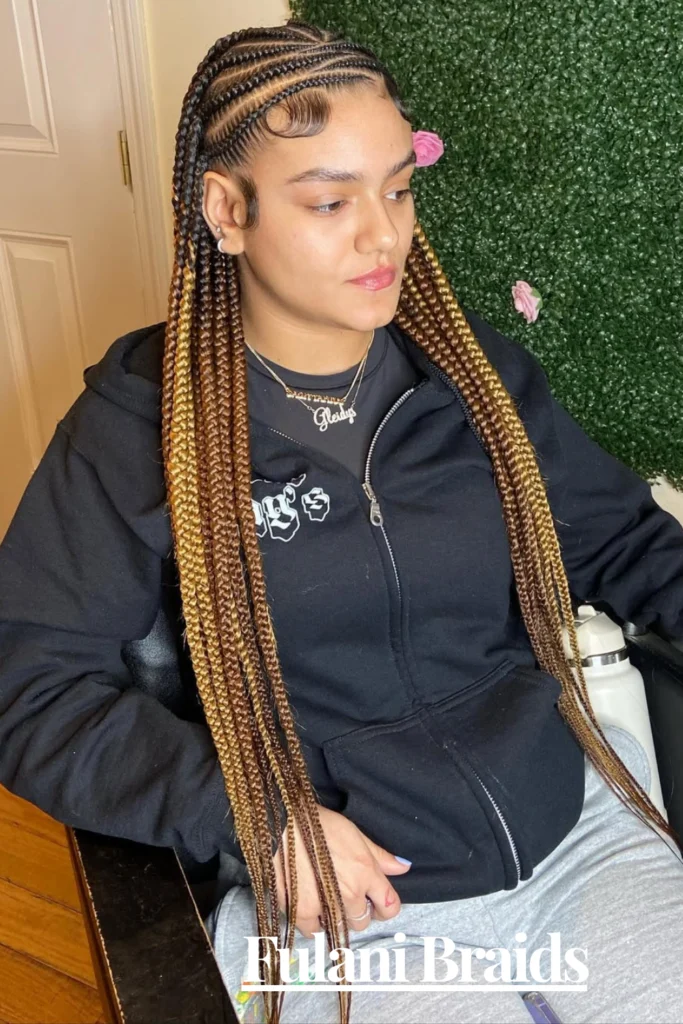 Fulani Braids