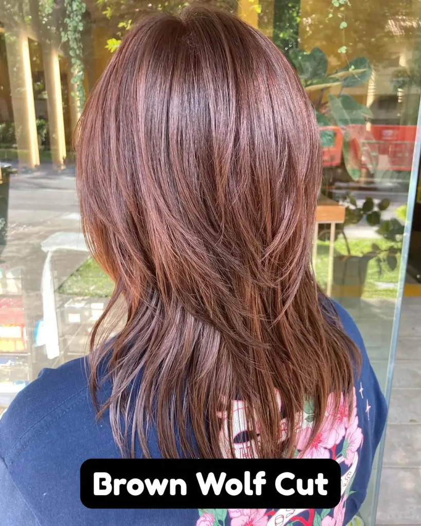 Brown Wolf Cut Ideas
