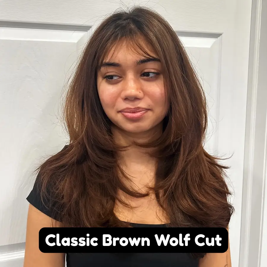 Classic Brown Wolf Cut