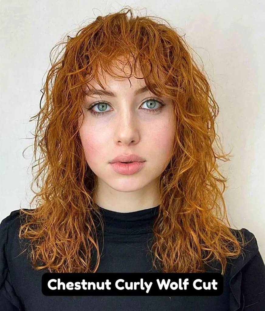 Chestnut Curly Wolf Cut