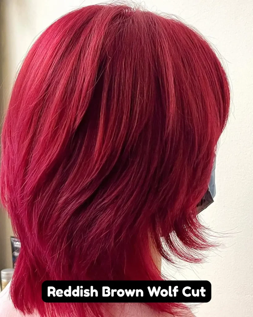 Reddish Brown Wolf Cut