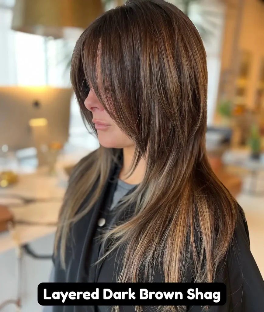 Layered Dark Brown Shag