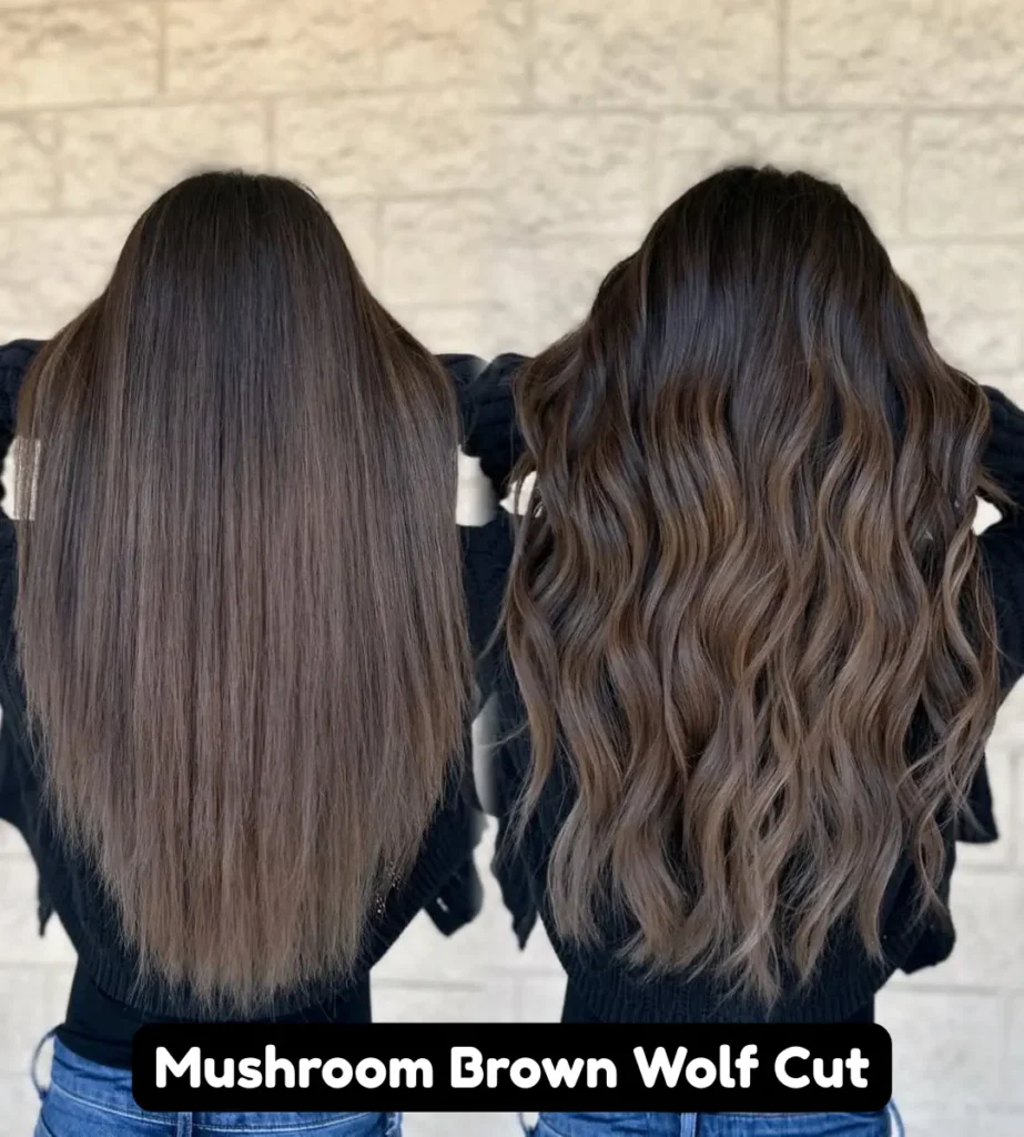 Mushroom Brown Wolf Cut