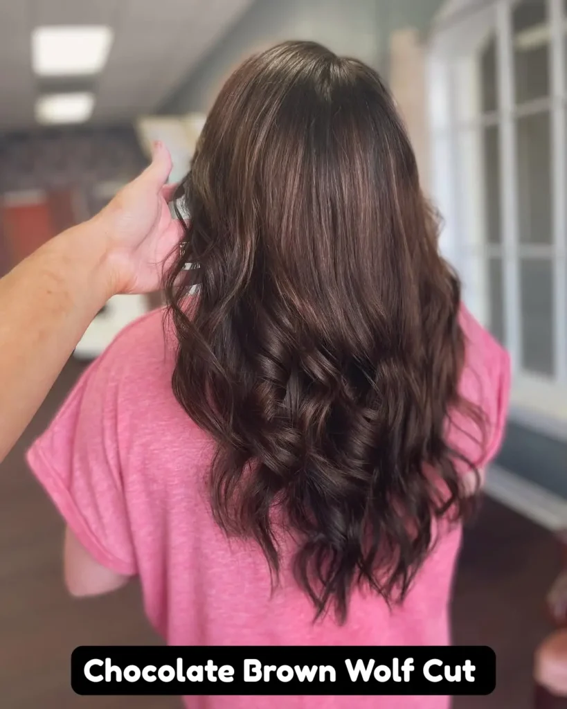 Chocolate Brown Wolf Cut with Underlights