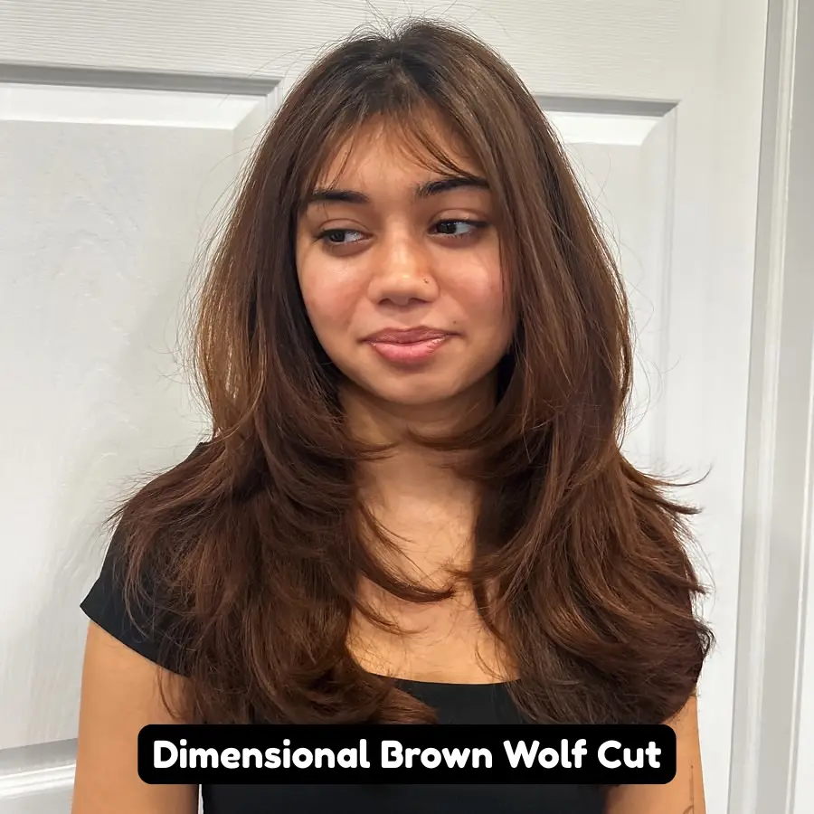 Dimensional Brown Wolf Cut
