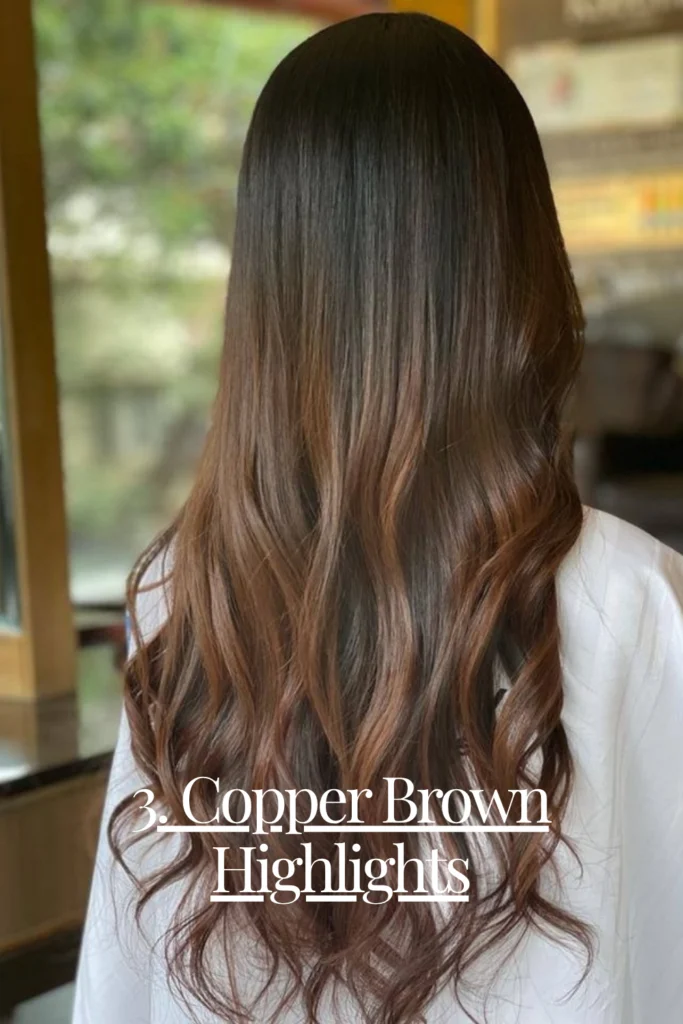 Copper Brown Highlights