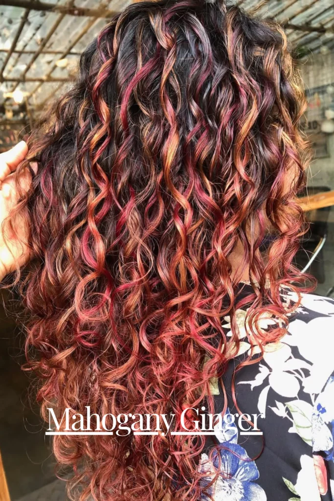 Mahogany Ginger