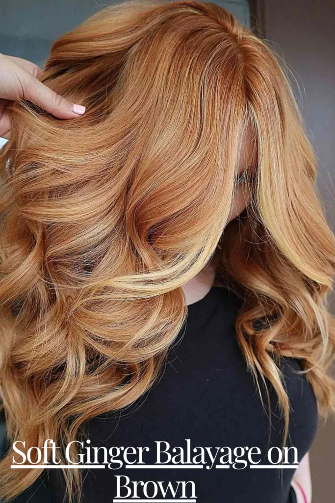 Bronze Ginger
