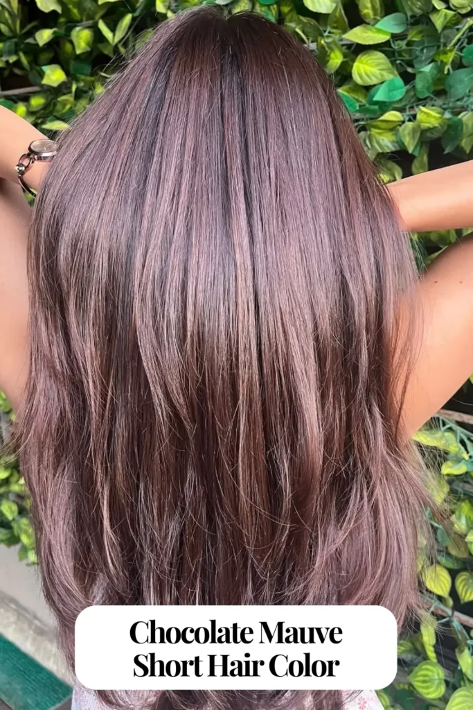 Chocolate Mauve