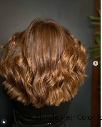 14 Dark Blonde Hair Color Ideas