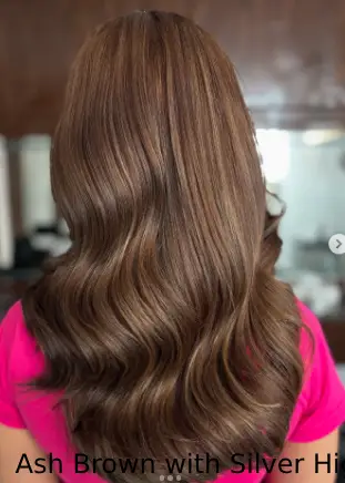  Ash Brown with Silver Highlights
