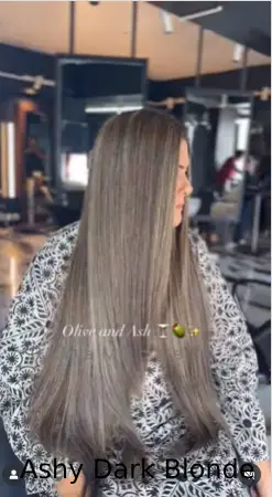 Ashy Dark Blonde