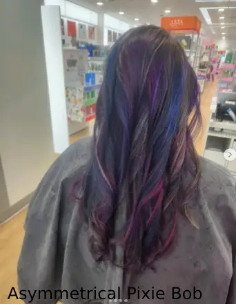  Asymmetrical Pixie Bob