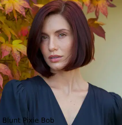 Blunt Pixie Bob
