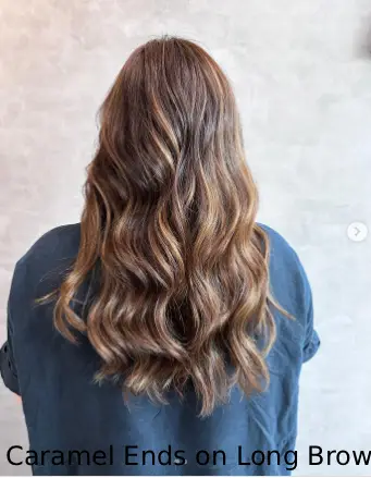 Caramel Ends on Long Brown Hair
