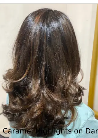 Caramel Highlights on Dark Brown