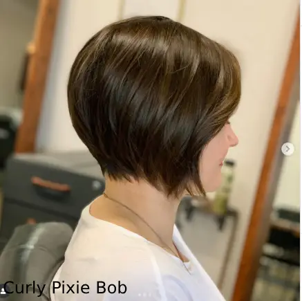 Curly Pixie Bob