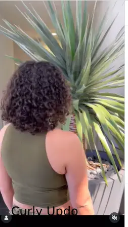 Curly Updo