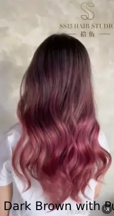 Dark Brown with Purple Tint