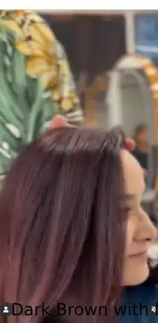  Dark Brown with Red Undertones