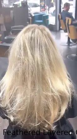  Feathered Layered Cut