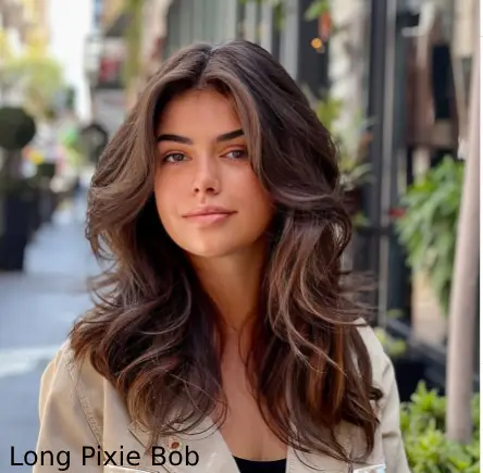 Long Pixie Bob
