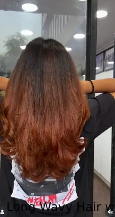 Long Wavy Hair with Subtle Highlights