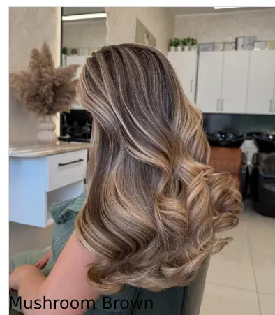 Mushroom Brown