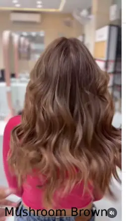  Mushroom Brown