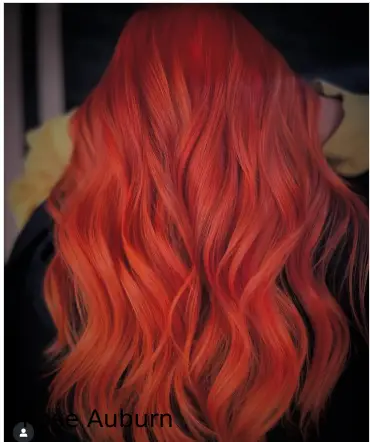 Rose Auburn